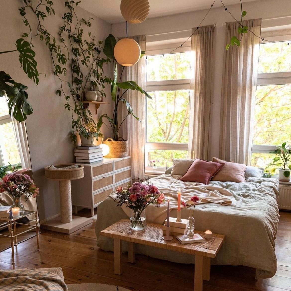 Loại cây cảnh "thôi miên" cấp oxy, thanh lọc không khí, đặt 1 chậu trong phòng, ngủ đến bình minh - Ảnh 1.