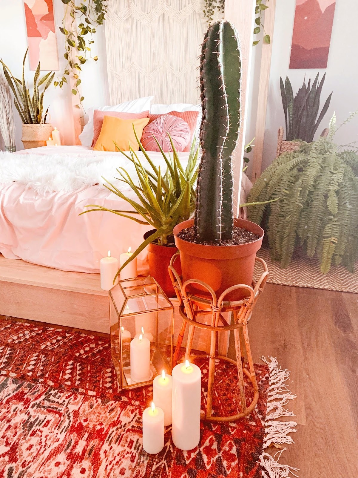 Loại cây cảnh "thôi miên" cấp oxy, thanh lọc không khí, đặt 1 chậu trong phòng, ngủ đến bình minh - Ảnh 4.