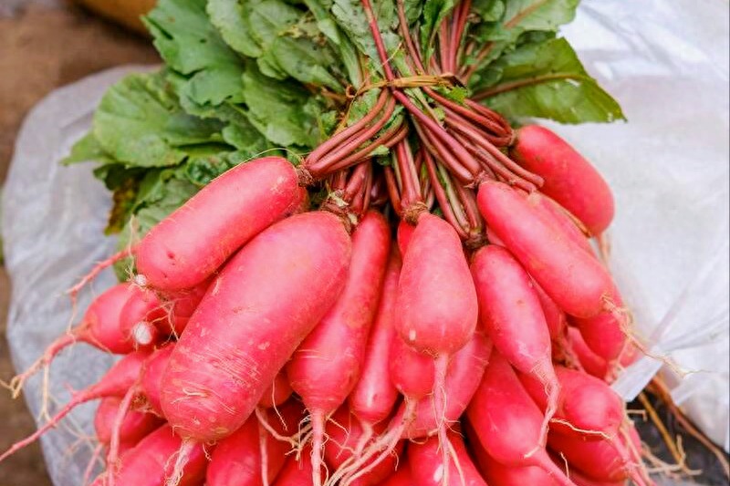 Loại củ "nhân sâm của người nghèo", dưỡng da, tăng cường miễn dịch, ăn mạnh vào mùa đông ngon bổ rẻ - Ảnh 1. Loại củ "nhân sâm của người nghèo", dưỡng da, tăng cường miễn dịch, ăn mạnh vào mùa đông ngon bổ rẻ - Ảnh 1.