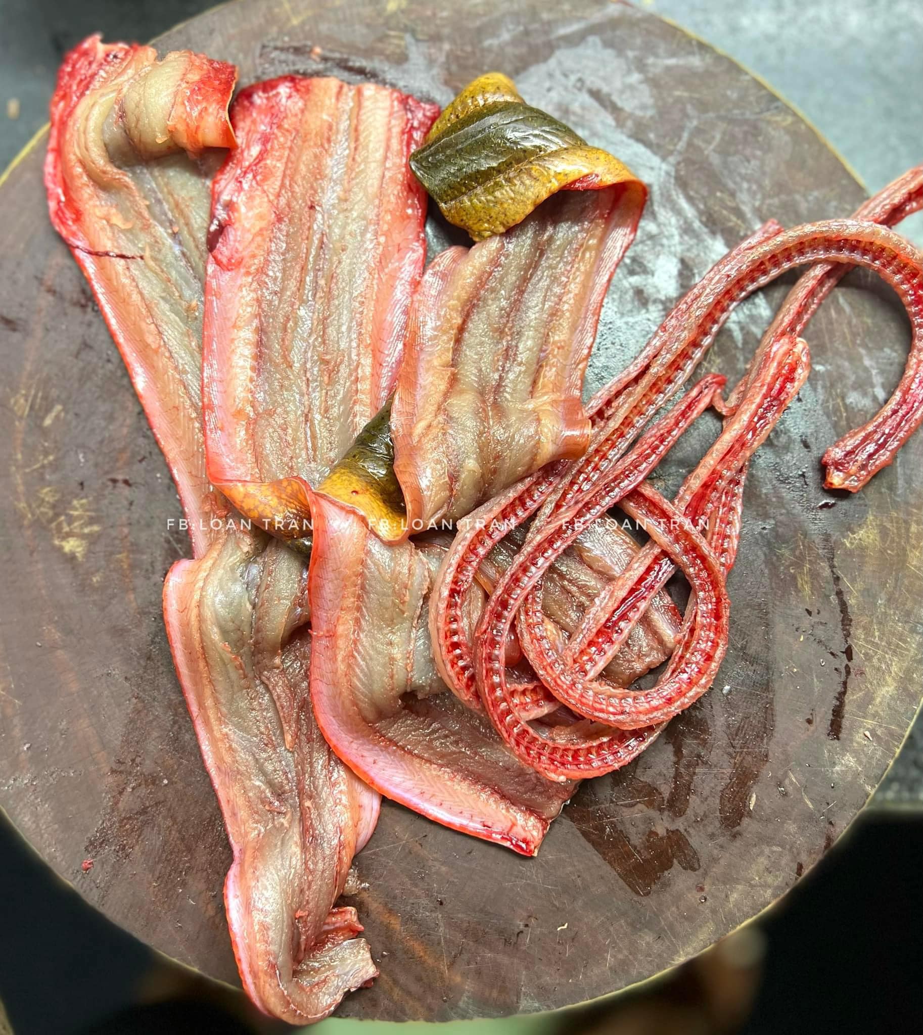 Loại cá không vây, sống chui rúc dưới bùn lại là thực phẩm "báu vật" để tăng cường sinh lý đàn ông - Ảnh 4.