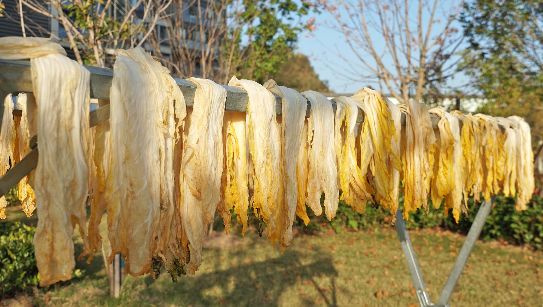  Loại rau cần ăn mạnh vào mùa đông, 1 nhuận tràng, 2 dưỡng da, 3 thải độc, phơi khô hầm siêu thơm - Ảnh 10.