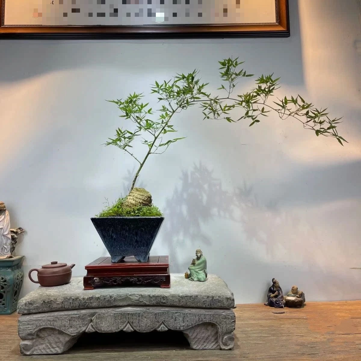 Gốc cây nhặt ngoài đường, mang về "nâng đời" thành cây cảnh nghệ thuật, vạn người mê - Ảnh 5.