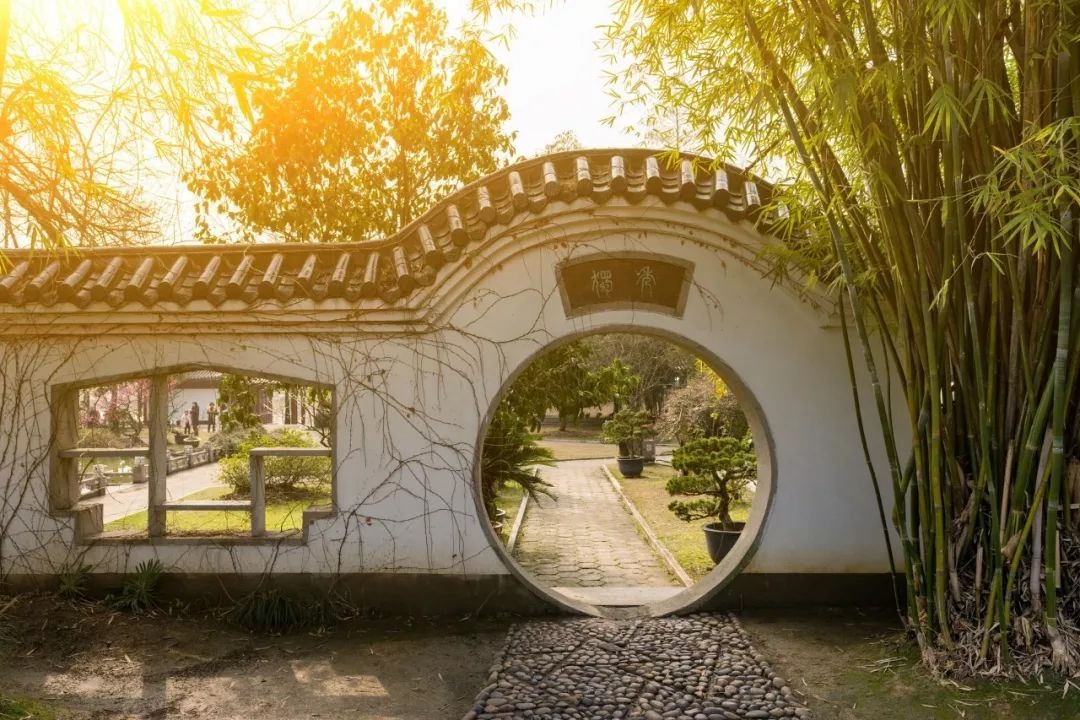 Người xưa dặn: "Cây âm không vào cửa, cây dương không ở mồ", tại sao vậy?  - Ảnh 9.