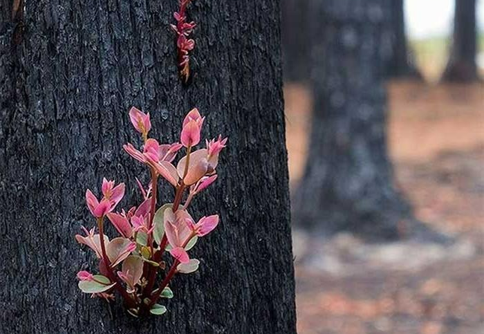 Người xưa dặn: "4 thứ vào nhà, gia đình tất phú quý, thịnh vượng"  - Ảnh 3.