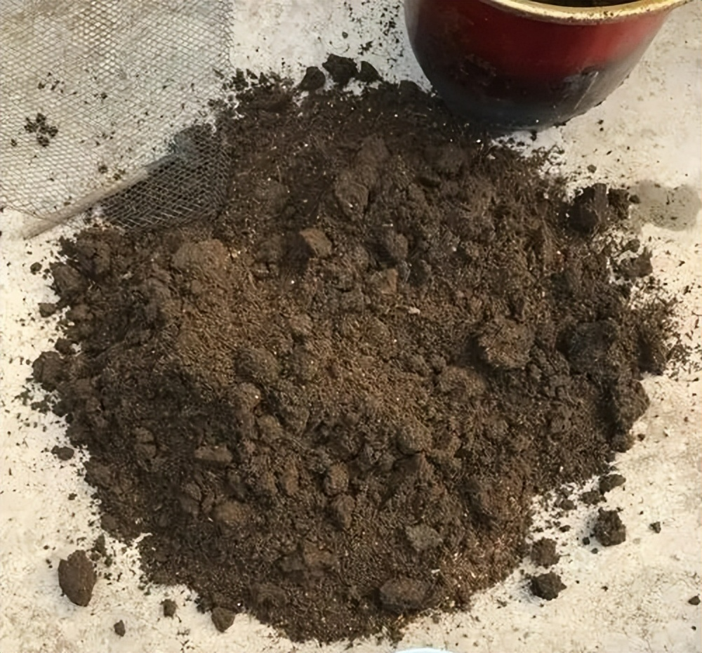 Đừng mất tiền mua phân bón trồng cây cảnh, "thần dược" xanh lá tốt hoa có ở khắp nơi - Ảnh 3.