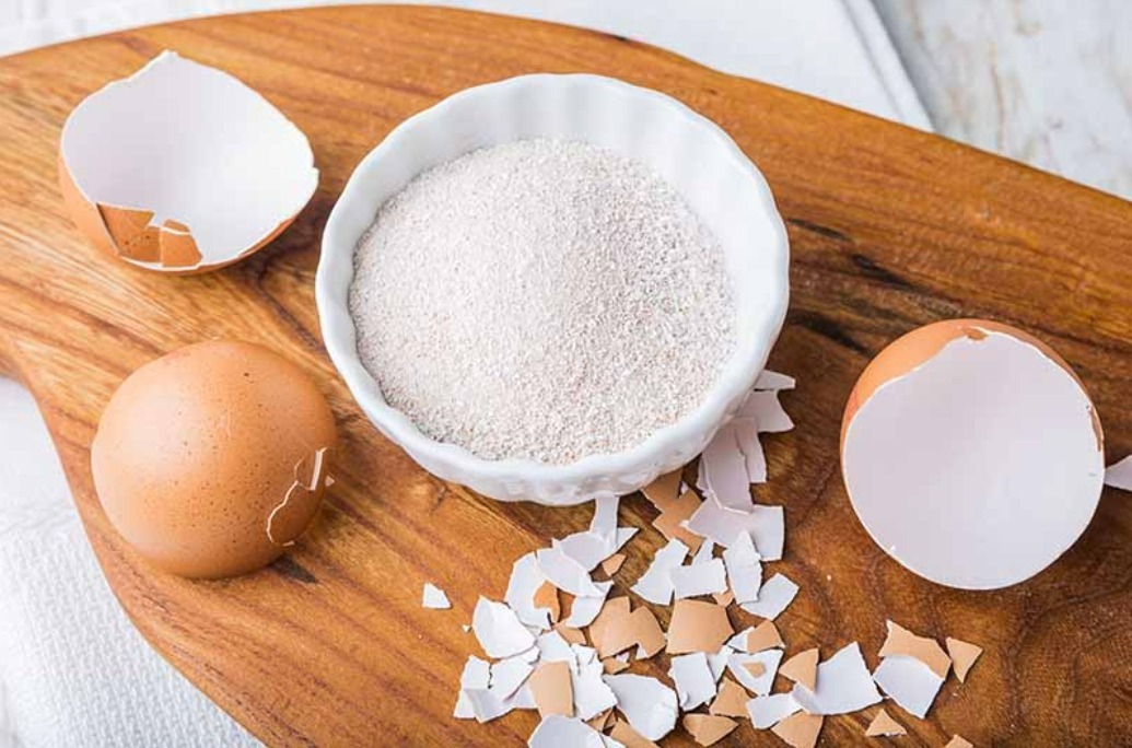 Đừng mất tiền mua phân bón trồng cây cảnh, "thần dược" xanh lá tốt hoa có ở khắp nơi - Ảnh 5.