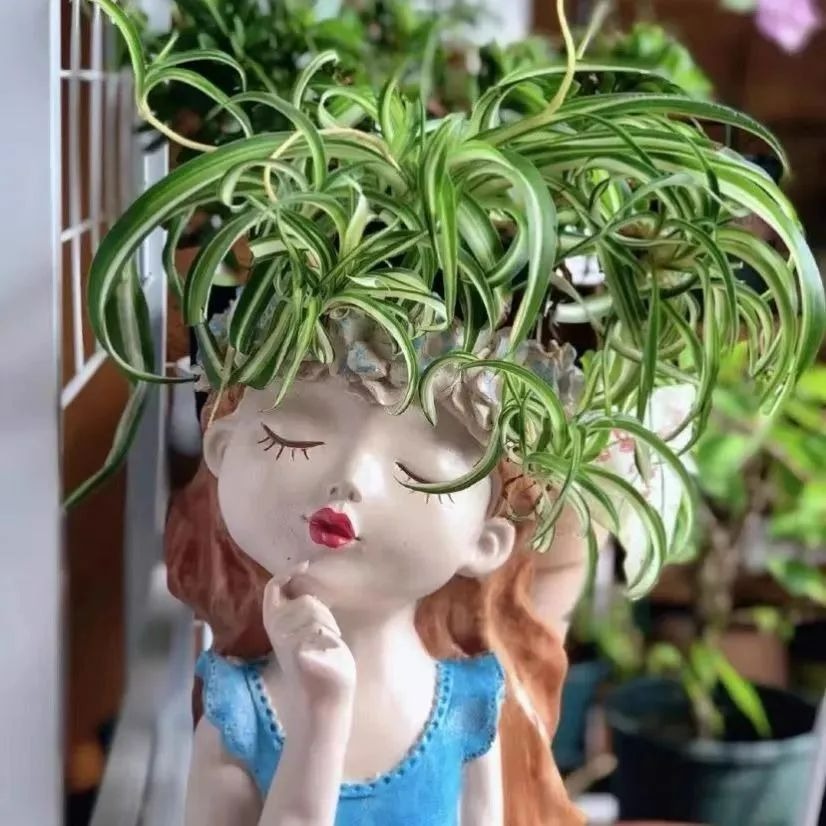 5 cây cảnh ưa làm đẹp, lá xoăn tít, kỳ lạ, sang chảnh và độc đáo, ai thấy cũng mê  - Ảnh 4.