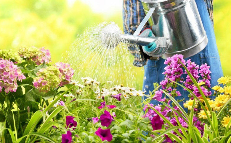 Trời ấm áp, làm ngay điều này, 7 cây cảnh sẽ phát triển tươi tốt, lá xum xuê, hoa rực rỡ, "vỡ chậu" - Ảnh 1. Trời ấm áp, làm ngay điều này, 7 cây cảnh sẽ phát triển tươi tốt, lá xum xuê, hoa rực rỡ, "vỡ chậu" - Ảnh 1.