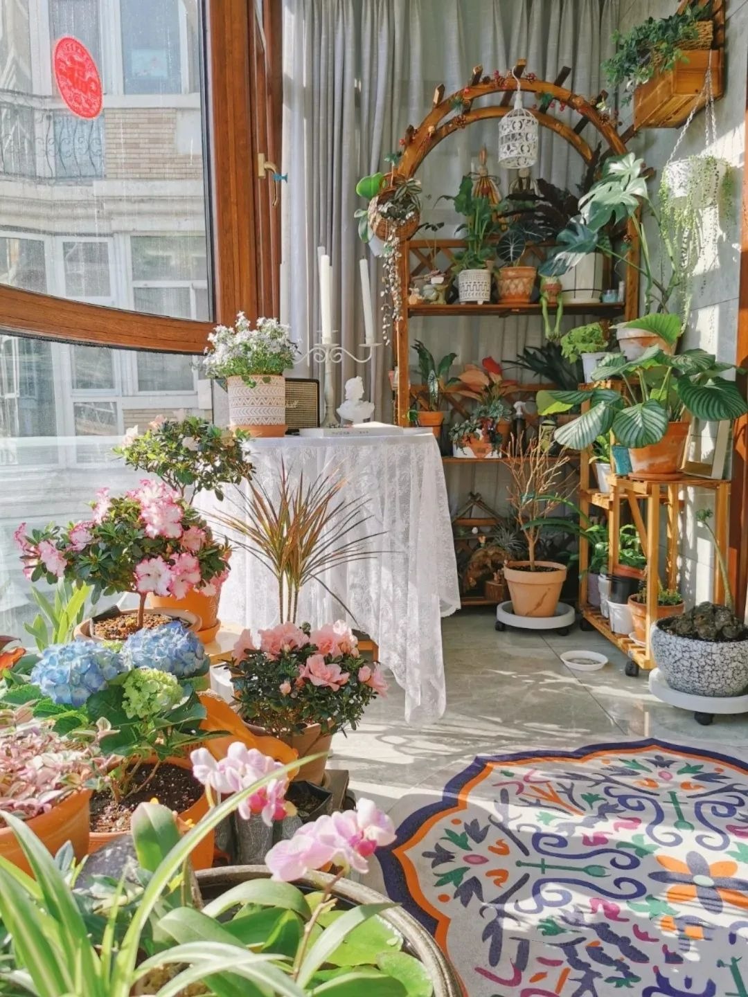 6 mối đe dọa khiến cây cảnh "đoản thọ", chỉ cần mắc lỗi này là trồng cây gì chết cây đó - Ảnh 7.