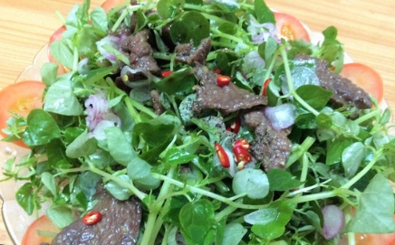 Loại rau dại mọc đầy vườn nhà là “thần dược” chống lão hóa, trị đau khớp - Ảnh 4.