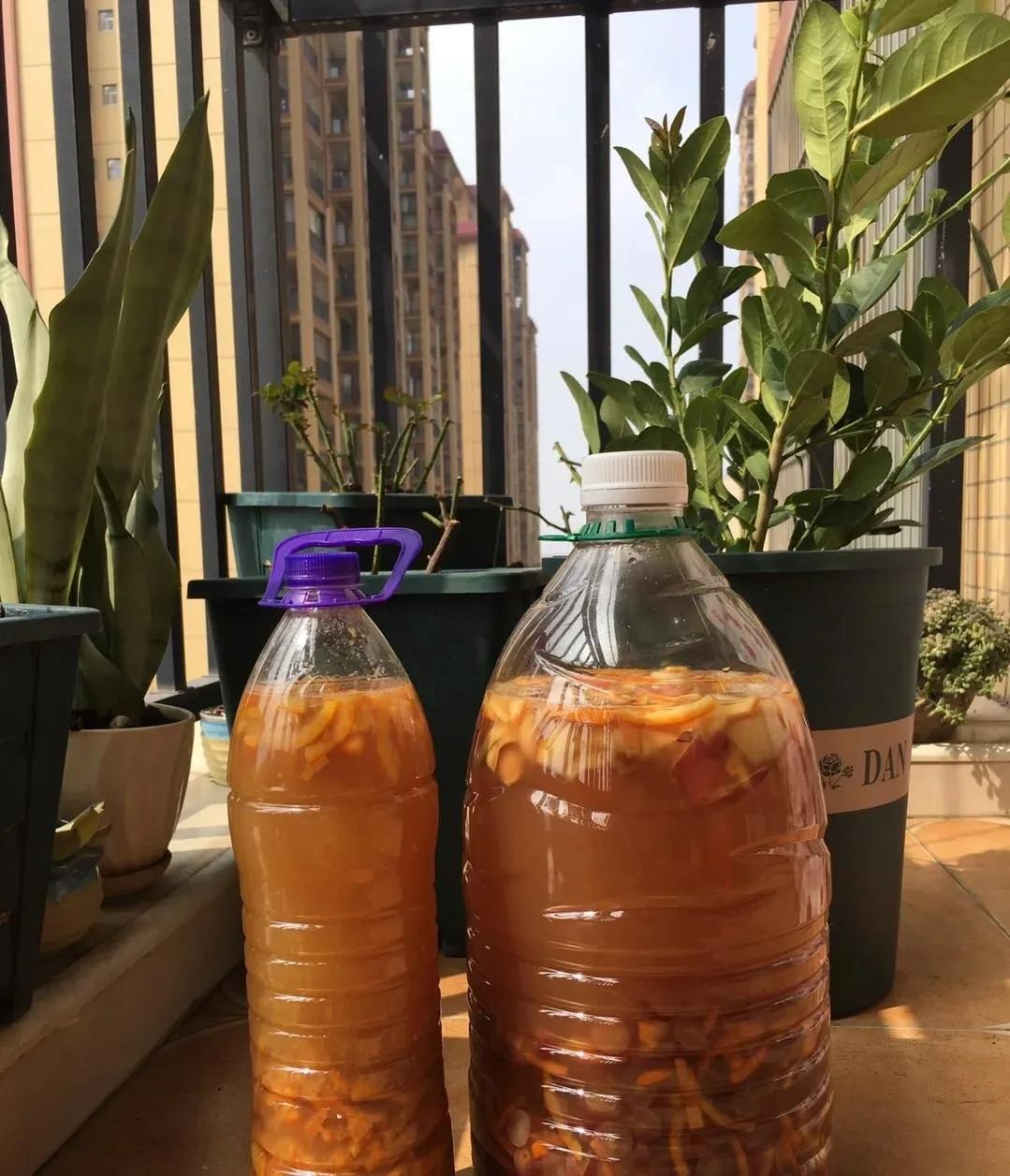 Chế "thần dược" bón cho cây cảnh bằng 3 loại vỏ dễ kiếm, cành lá xum xuê, hoa nở liên tục - Ảnh 6. Chế "thần dược" bón cho cây cảnh bằng 3 loại vỏ dễ kiếm, cành lá xum xuê, hoa nở liên tục - Ảnh 6.
