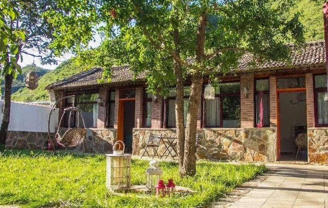 Người xưa nói: "Trồng năm cây cảnh này trước sân, con cháu giàu có trăm đời"  - Ảnh 9.