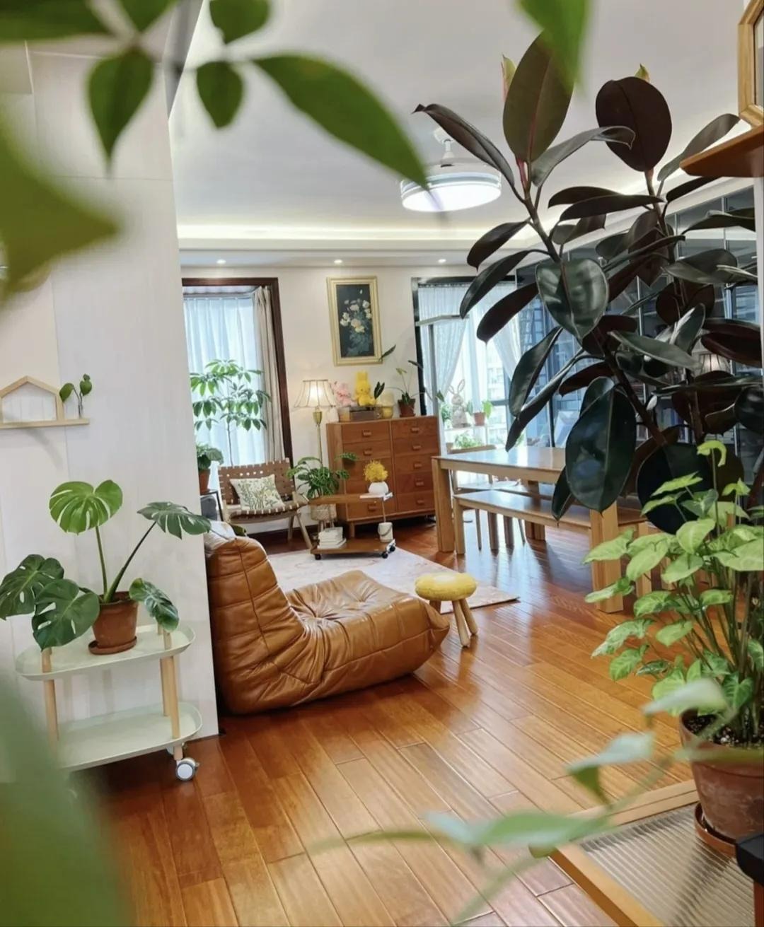 Người xưa nói: "Đặt 5 loại cây cảnh này trong nhà, gia đình hưng vượng, tài lộc dồi dào" - Ảnh 1.