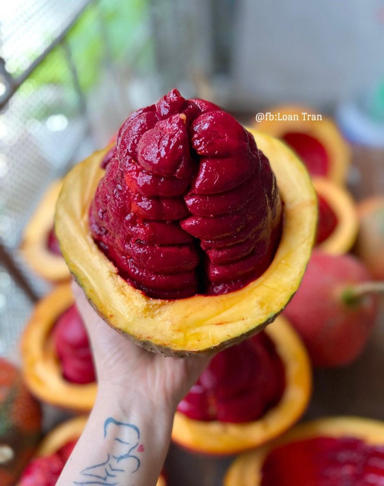 Gấc đã cuối mùa nhanh tay làm cách này để gấc cả năm màu vẫn đẹp, cần lúc nào có ngay lúc đó - Ảnh 3.