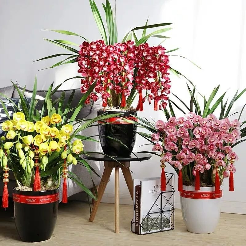 Cắm đũa vào chậu cây cảnh giải quyết 5 vấn đề lớn trong trông hoa, người "tay mới" thường không biết - Ảnh 9.