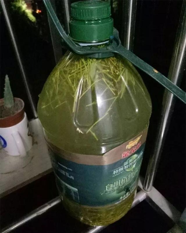 Cắm đũa vào chậu cây cảnh giải quyết 5 vấn đề lớn trong trông hoa, người "tay mới" thường không biết - Ảnh 10.