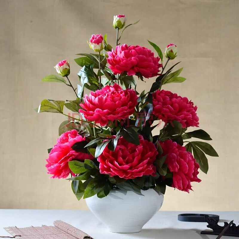Người xưa dặn: "Trong nhà trồng ngũ hoa, hoa cười người vượng" - Ảnh 2. Người xưa dặn: "Trong nhà trồng ngũ hoa, hoa cười người vượng" - Ảnh 2.