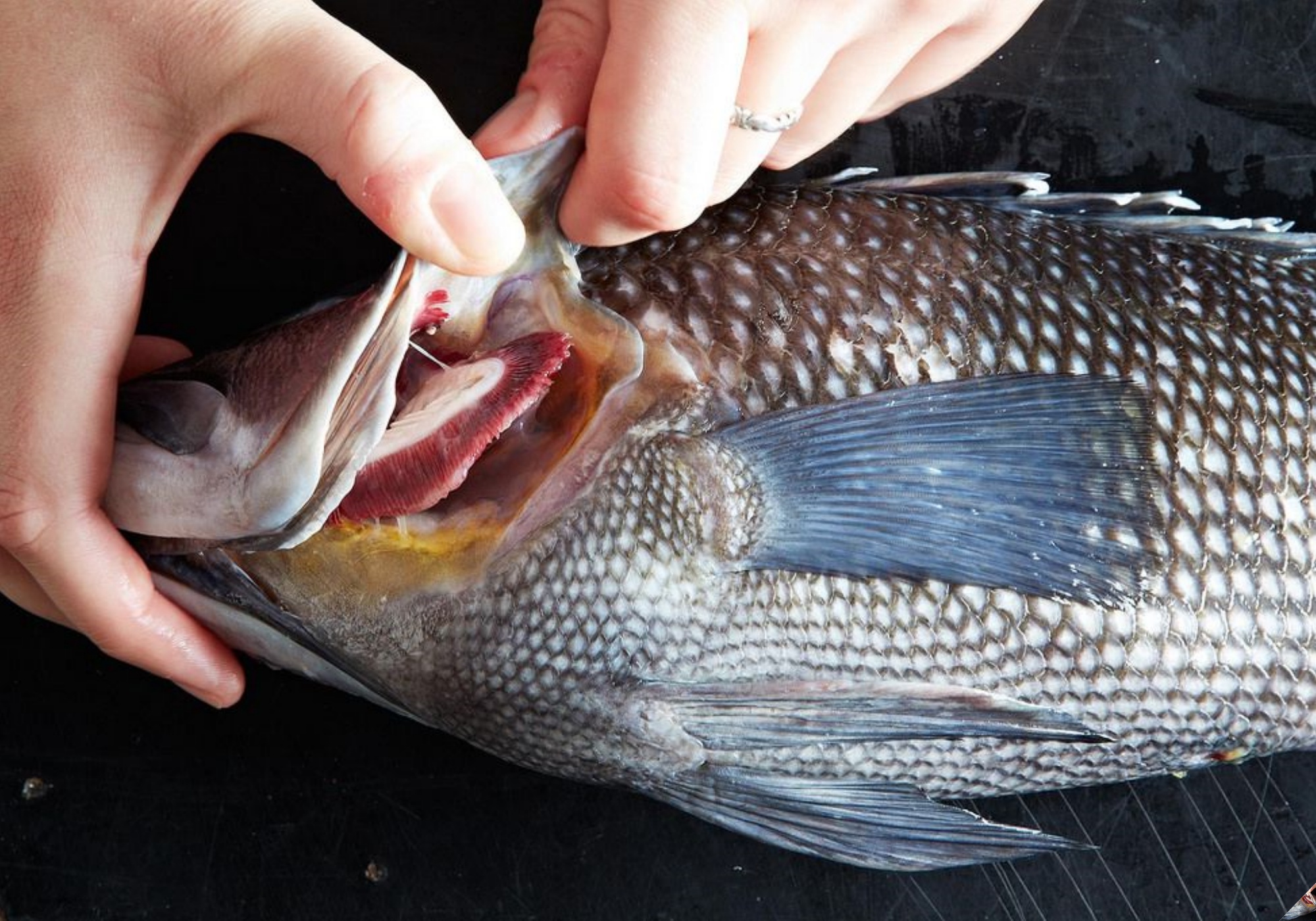 Ngâm cá trong nước này 2 phút rồi mới đem hấp sẽ thấy công dụng tuyệt vời, ai biết cũng vội học theo - Ảnh 10.