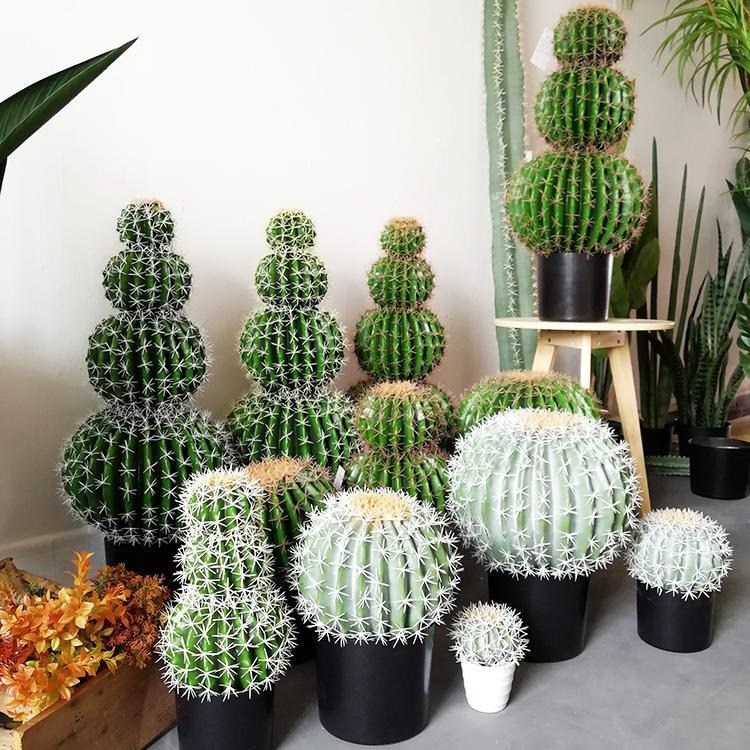 Trong nhà có 7 loại cây cảnh này, hoa tươi người héo, người xưa khuyên không nên trồng - Ảnh 8.