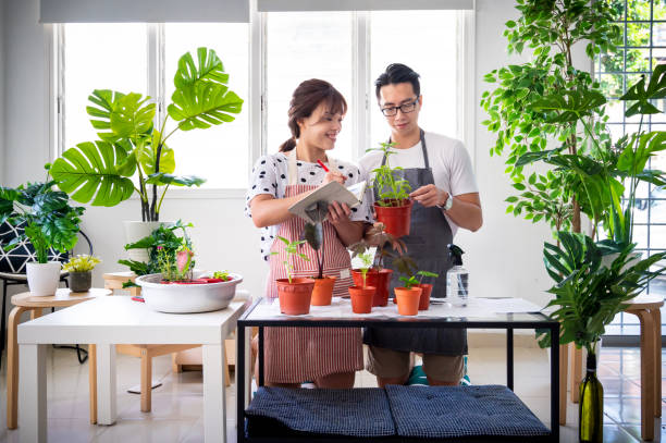 9 sai lầm khi chăm sóc cây cảnh, bảo sao mất công, tốn tiền mà cây vẫn chết mòn chết mỏi - Ảnh 8.