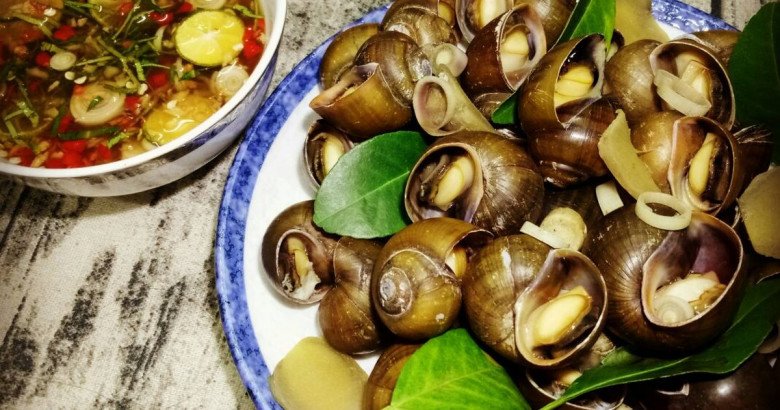 Mua ốc về đừng luộc ngay, ngâm vào đây ốc nhả sạch bùn nhớt, thêm cách luộc làm giun sán chẳng còn - Ảnh 3. Mua ốc về đừng luộc ngay, ngâm vào đây ốc nhả sạch bùn nhớt, thêm cách luộc làm giun sán chẳng còn - Ảnh 3.