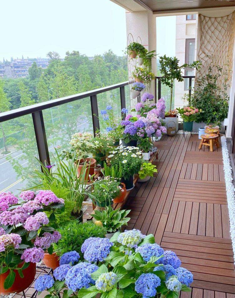 Người xưa dặn: "5 cây cảnh nở hoa, nhà vạn sự hanh thông, điềm lành đến cửa" - Ảnh 1.