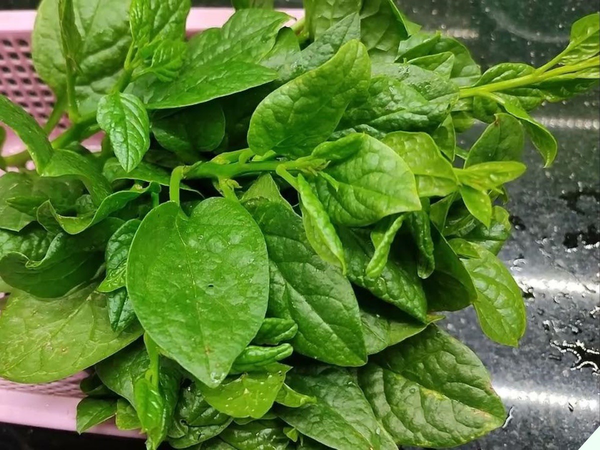 Loại rau được ví là “bậc thầy bổ sung canxi tốt hơn cả sữa mà siêu rẻ, mua về nấu kiểu này ăn trôi cả - Ảnh 1.