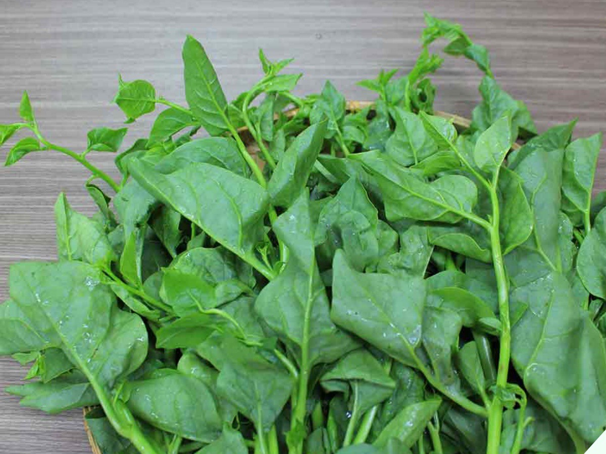 Loại rau được ví là “bậc thầy bổ sung canxi tốt hơn cả sữa mà siêu rẻ, mua về nấu kiểu này ăn trôi cả - Ảnh 11.