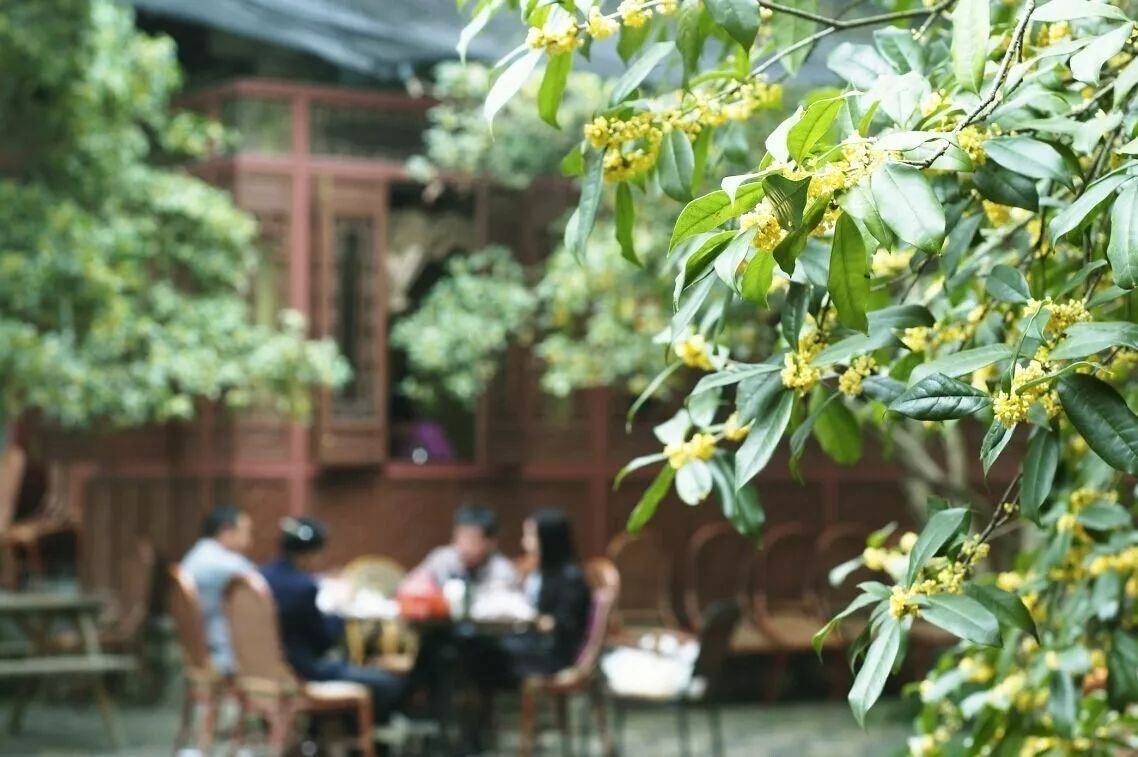 "Mộc hương trước nhà, quý nhân trong cửa", cây cảnh ngát hương người xưa khuyên trồng - Ảnh 10.