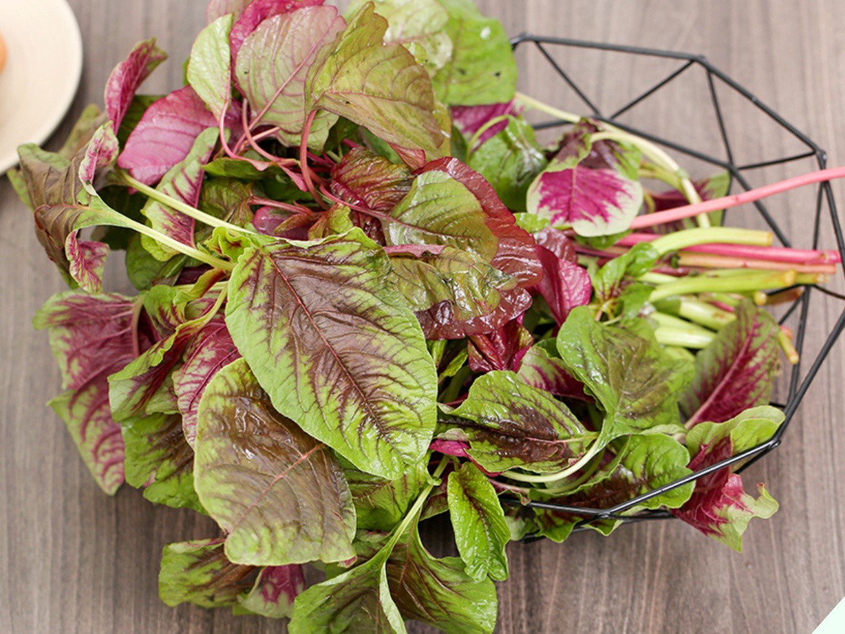 Được gọi là “rau trường thọ” chỉ 5.000đ/bó mua về nấu với thứ này rất ngon, gấp đôi dinh dưỡng - Ảnh 1.
