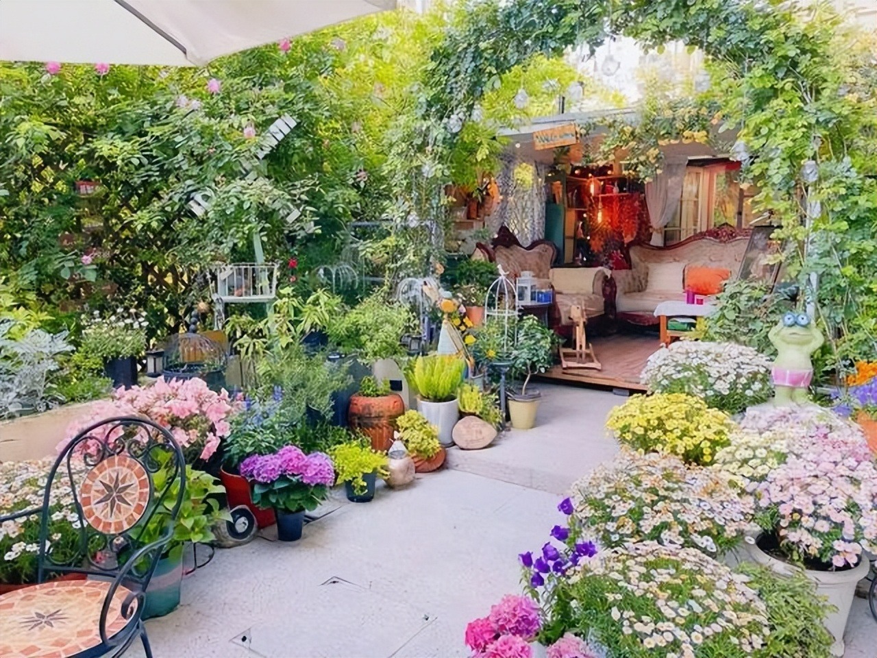 Có sân nhà, đừng trồng 8 cây cảnh bất hảo này, chạm đất là "ngập úng", muốn loại bỏ khó hơn chống lụt - Ảnh 1.