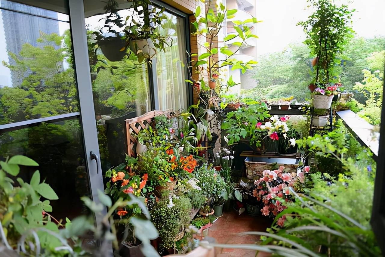 4 loại bột thần kỳ, nhà nhà vứt đi, đem chôn dưới gốc cây cảnh, lá xanh hoa thắm suốt 4 mùa - Ảnh 5. 4 loại bột thần kỳ, nhà nhà vứt đi, đem chôn dưới gốc cây cảnh, lá xanh hoa thắm suốt 4 mùa - Ảnh 5.