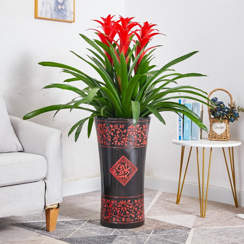 Bỏ 6 loại phế phẩm này vào chậu cây cảnh, trồng 10 năm không thối rễ, hoa đến thì hoa lại nở - Ảnh 9.