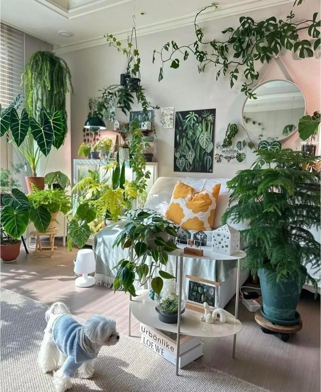 Bỏ 6 loại phế phẩm này vào chậu cây cảnh, trồng 10 năm không thối rễ, hoa đến thì hoa lại nở - Ảnh 6.