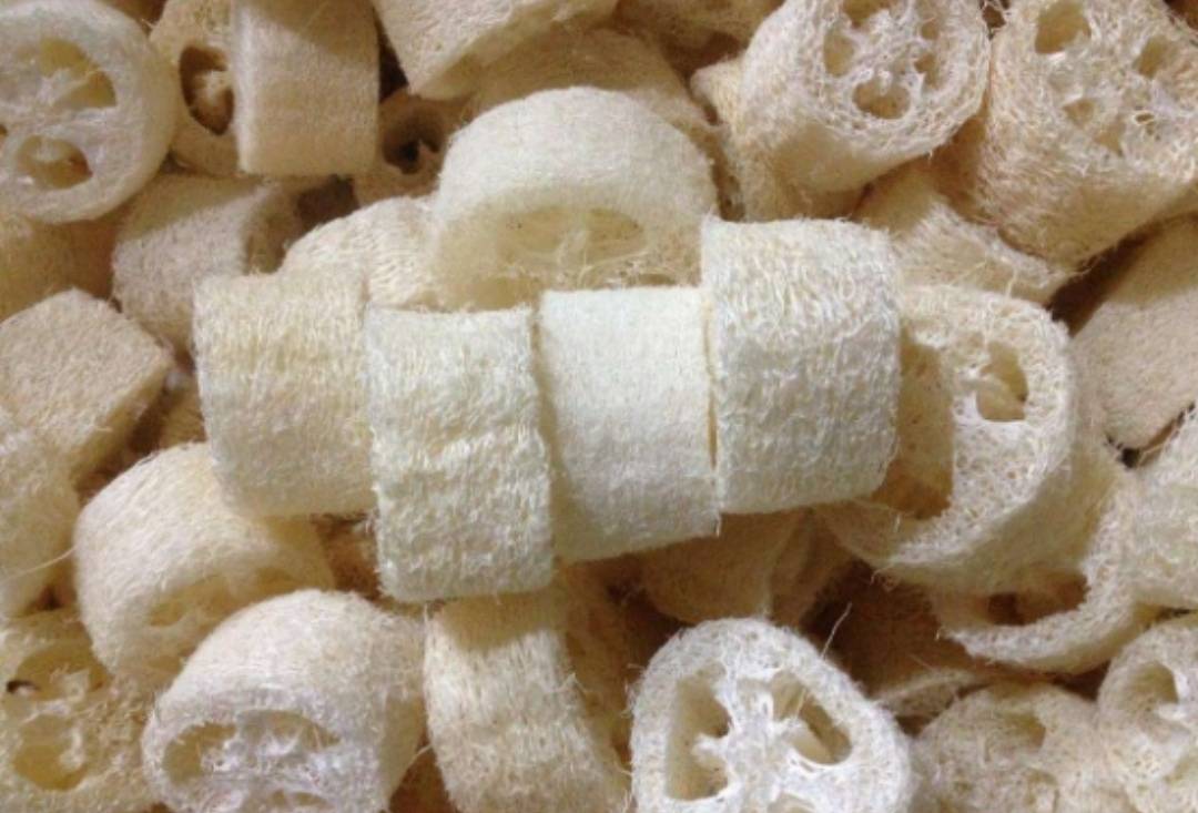 Bỏ 6 loại phế phẩm này vào chậu cây cảnh, trồng 10 năm không thối rễ, hoa đến thì hoa lại nở - Ảnh 7.