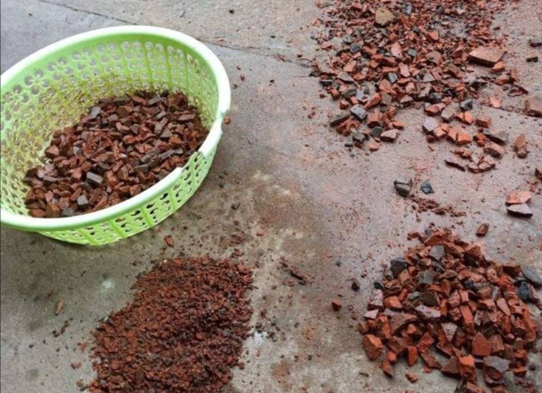 Bỏ 6 loại phế phẩm này vào chậu cây cảnh, trồng 10 năm không thối rễ, hoa đến thì hoa lại nở - Ảnh 10.