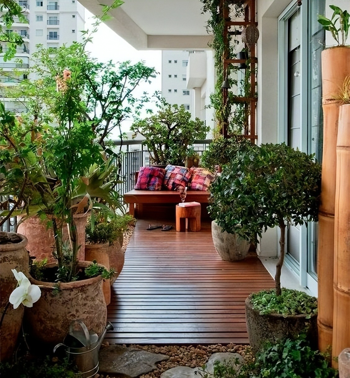 Người xưa dặn: "Ban công có 4 loại cây cảnh, gia đình nghèo khó, tài lộc tránh xa" - Ảnh 1.