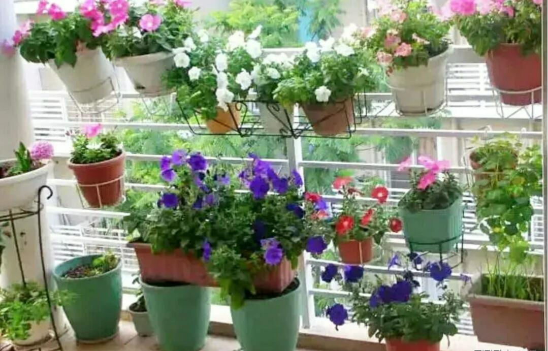Người xưa dặn: "Trong nhà có 4 dấu hiệu phong thủy này, tài lộc thất thoát, làm gì cũng thua" - Ảnh 4.