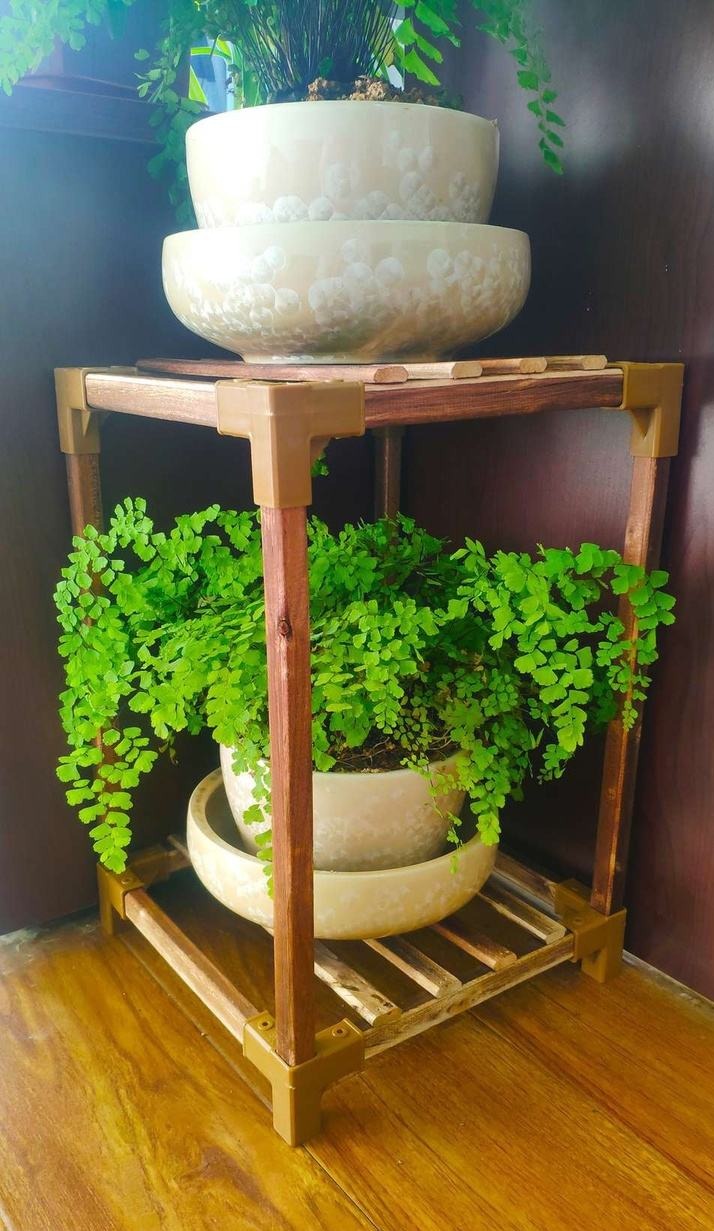 6 cây cảnh "đánh bay mùi hôi", trồng trong phòng tắm tươi đẹp, tốt cho sức khỏe - Ảnh 2.