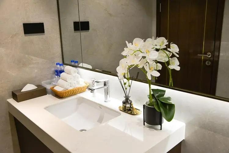 6 cây cảnh "đánh bay mùi hôi", trồng trong phòng tắm tươi đẹp, tốt cho sức khỏe - Ảnh 12.