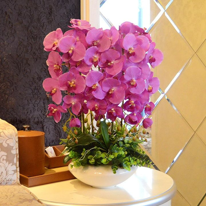 6 cây cảnh "đánh bay mùi hôi", trồng trong phòng tắm tươi đẹp, tốt cho sức khỏe - Ảnh 11.