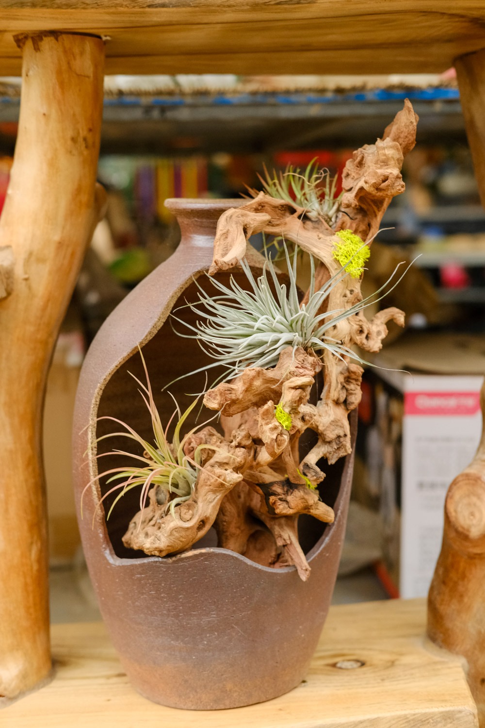 6 cây cảnh "đánh bay mùi hôi", trồng trong phòng tắm tươi đẹp, tốt cho sức khỏe - Ảnh 10.