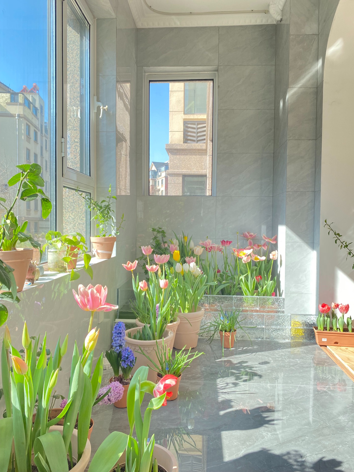 Trồng cây cảnh trên ban công kín sợ nhất 5 cạm bẫy này, tránh xa lá hoa tốt bời bời - Ảnh 7.