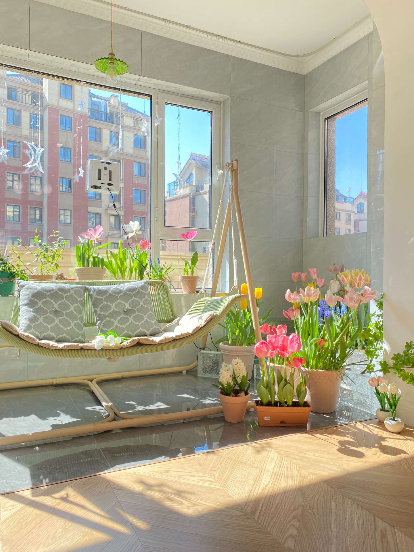 Trồng cây cảnh trên ban công kín sợ nhất 5 cạm bẫy này, tránh xa lá hoa tốt bời bời - Ảnh 5.