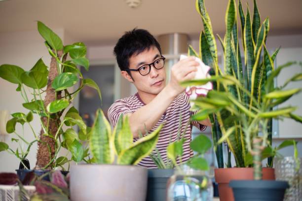 5 cây cảnh rực rỡ, vừa thơm vừa ngon, hái hoa pha trà nấu cháo, càng ăn càng trường thọ - Ảnh 1. 5 cây cảnh rực rỡ, vừa thơm vừa ngon, hái hoa pha trà nấu cháo, càng ăn càng trường thọ - Ảnh 1.
