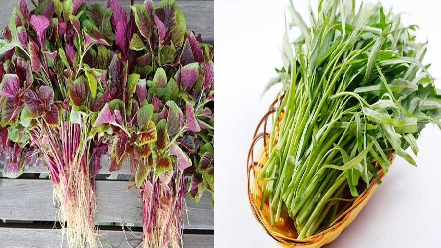 Loại rau giàu canxi hơn sữa, chợ nào cũng có, ăn đều đặn giữ dáng, khỏe xương, ít bệnh tật - Ảnh 1. Loại rau giàu canxi hơn sữa, chợ nào cũng có, ăn đều đặn giữ dáng, khỏe xương, ít bệnh tật - Ảnh 1.