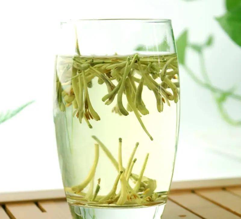 Người xưa dặn: "Trồng hoa 1 năm, dưỡng người cả đời", 7 cây cảnh dùng pha trà, uống vào khỏi bệnh tật, tai ách - Ảnh 14.