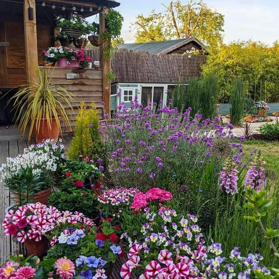 "Cao nhân" dạy: Phun 4 loại nước thần kỳ vào cây cảnh, sâu bọ nào cũng "chạy mất dép", rẻ tiền, sạch nhà - Ảnh 1.