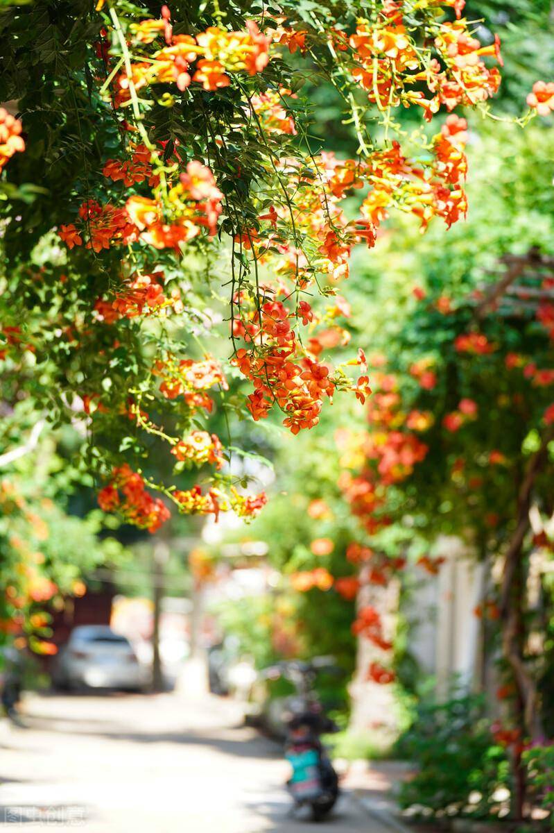 Muốn cây cảnh tươi đẹp, rực rỡ, 3 vị trí dễ "ngậm bụi bẩn" nhất không được quên dọn dẹp - Ảnh 2.