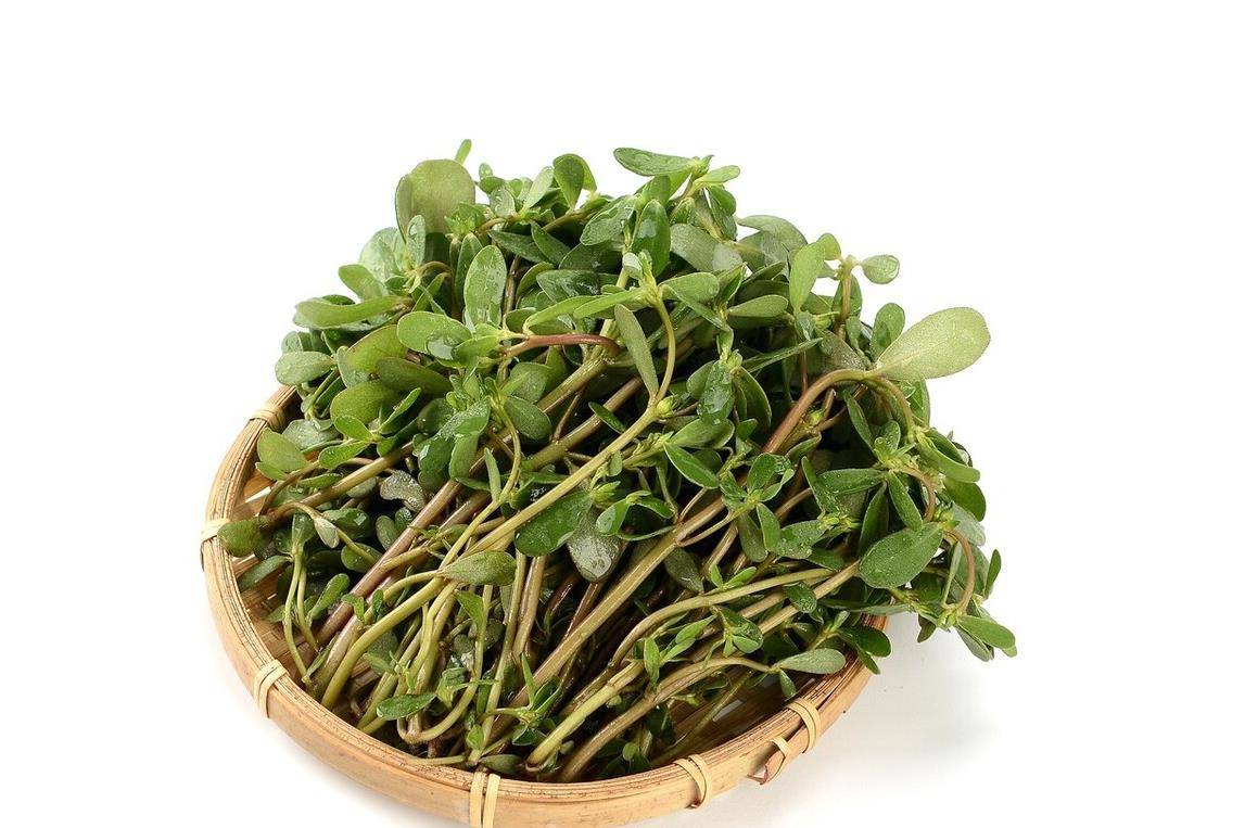 2 loại rau "trường sinh", ngày xưa đói kém mới ăn, nay là món ngon bổ dưỡng, kéo dài thanh xuân - Ảnh 5.